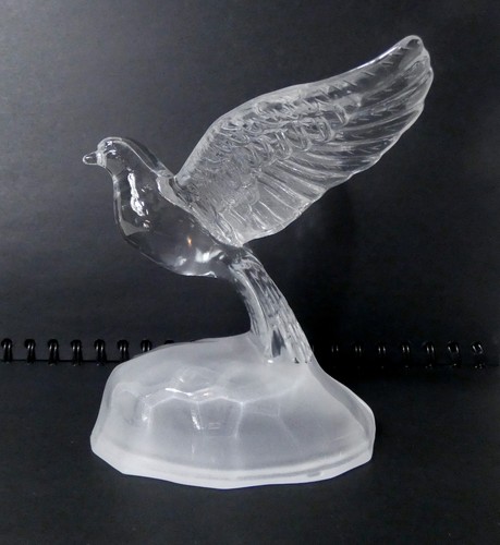 Oiseau cristal arques - oiseau, d'arques