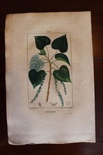 ✒ ca.1830 Pierre TURPIN