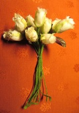 BOUQUET de 12 ROSES miniatures