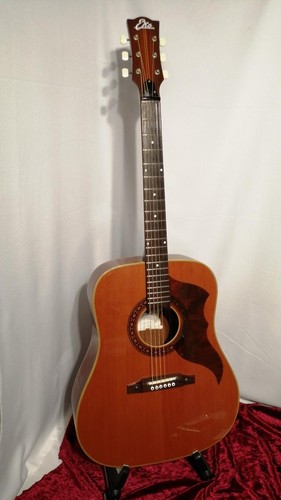 Eko ranger acoustic - eko,
