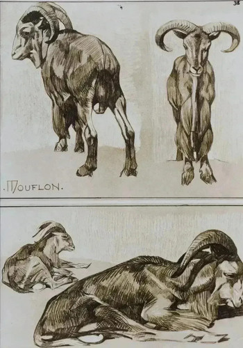 Mathurin meheut lithograph - meheut:,