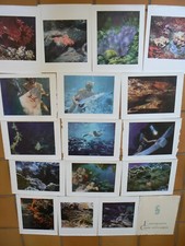 16 PHOTOS ""UNDERWATER EXPLORATION & HUNTING"" LAB G. TETARD