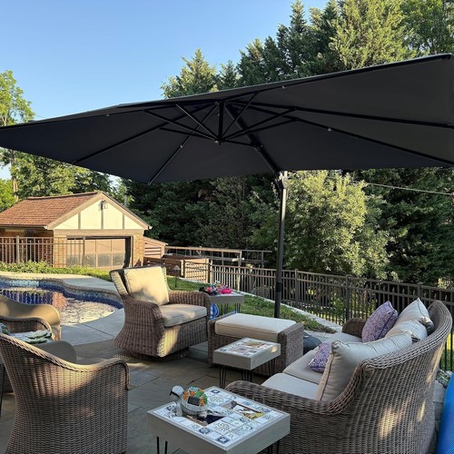 Purple leaf parasol - leaf,
