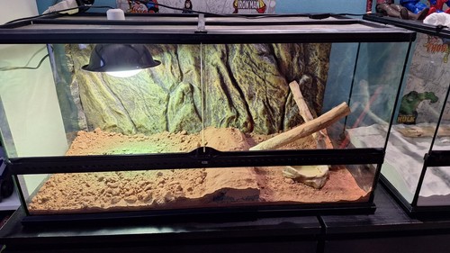 Terrarium reptile avec lampe - terrarium,