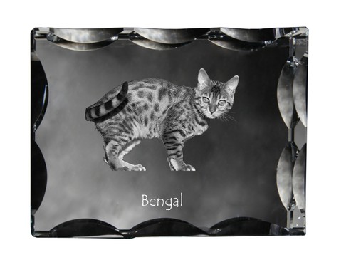 Bengal cadre cristal avec - bengal, en