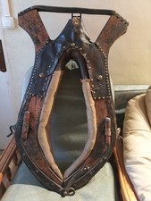 collier de cheval très