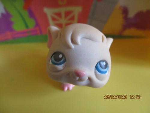 Petshop cochon inde - petshop,