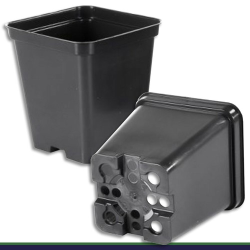 Pot fleurs l noir - fleurs,