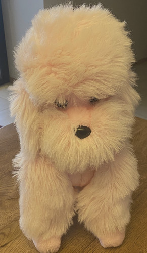Rare grande peluche chien - grande,