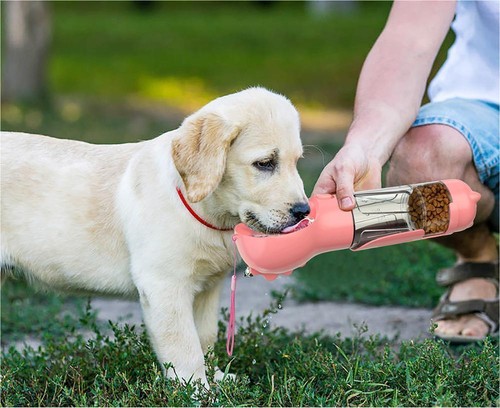Gourde chien voyage 1 - voyage, en