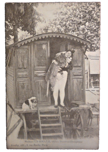 Carte postale music hall - carte, music-hall