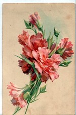 Embossed Embossed Fancy Card Representing a Bouquet of Carnations