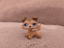 LPS #893 LITTLEST PETSHOP