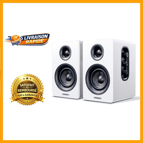 Sanyun sw208 enceintes - sanyun,