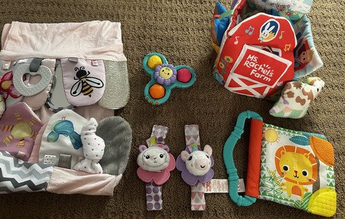 Rachel sensory farm toy - ms.,