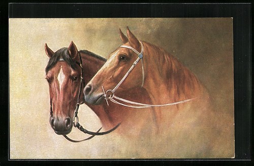 Carte postale deux - , chevaux