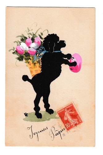Chien caniche dessiné et - dessiné,