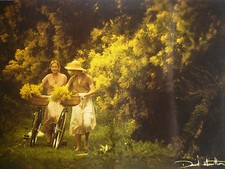 Carte Postale   DAVID  HAMILTON   Format 12x17cm  Postcard CP