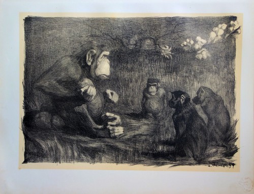 Paul jouve les singes - paul,