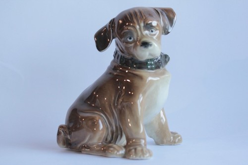 Jeune chien porcelaine karl - jeune,