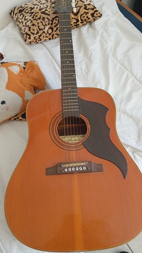 Guitare acoustique eko - acoustique, ranger