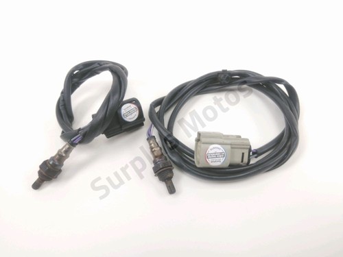 Sonde lambda harley - harley, davidson