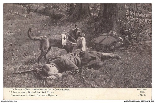 Aoip6 0409 militaria - aoip6-0409-militaria,
