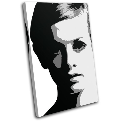 Twiggy model iconic - twiggy,