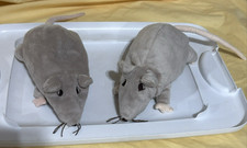 Ikea Minnen Ratta 8" Brownish Rat Plush Stuffed Animal Toy Lot