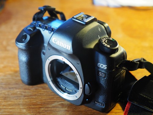 Canon eos mark 1 - mark, mpix