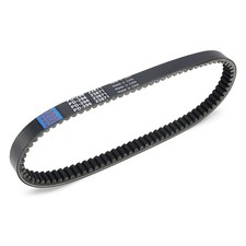 Courroie de commande pour