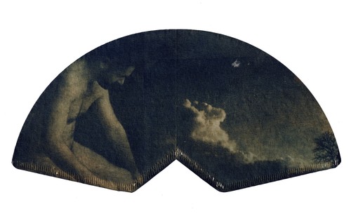 Daniel clauzier cyanotype - cyanotype, sur