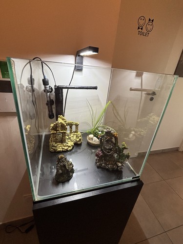 Aquarium avec meuble - aquarium,