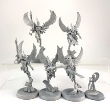 x5 Éperviers Voltigeurs