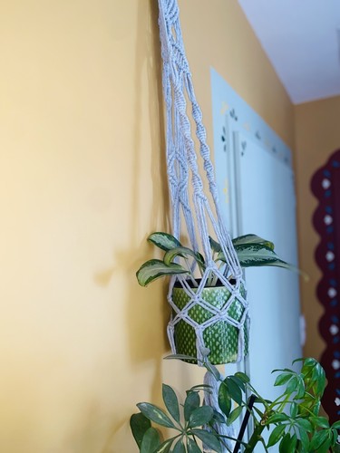 Support plante - support,