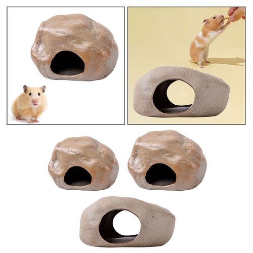Hamster cave conteneur petit - hamster,