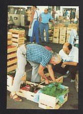 NICE-ST-ISIDORE (06) M. ARNAUDO wood strawberry merchant from LA TAUDE VENCE