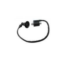 Bobines d'allumage pour