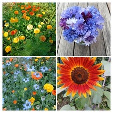 Lot De Fleurs Pour Abeilles