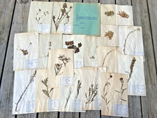 🌿18 HERBIER ANCIEN