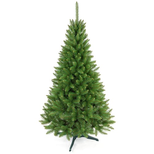 Sapin épicéa sur pied - sapin,