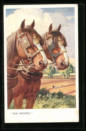 Carte postale old - carte, faithful