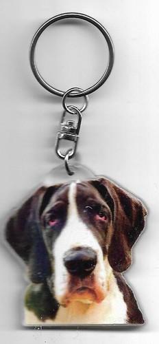 Dogue allemand porte clés - allemand,