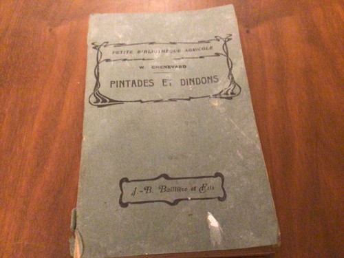 Pintades dindons - pintades, et