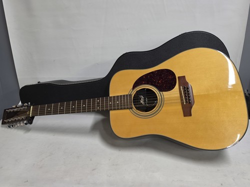 Martin 12 string - dm-12,