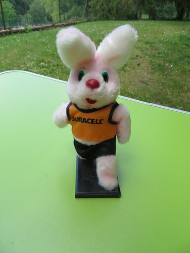Lapin duracell - lapin,