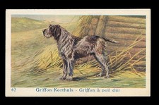 KORTHALS GRIFFON Wirehaired Pointer German Dog Trade Card c 1930s Dog Biscuits