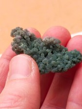 Jolie petite Agate grappe raisin Calcédoine botryoidal verte Indonésie