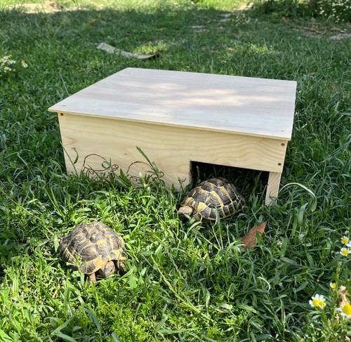 Cabane abri pour tortues - cabane,