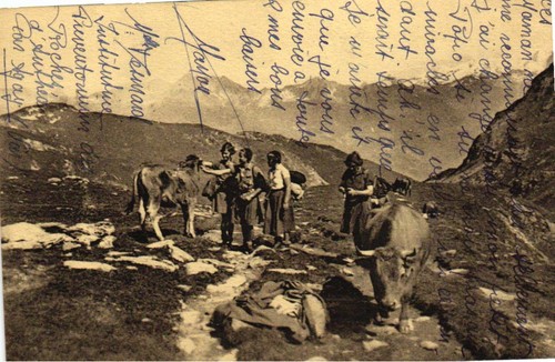 Scout montagne nos - scout,